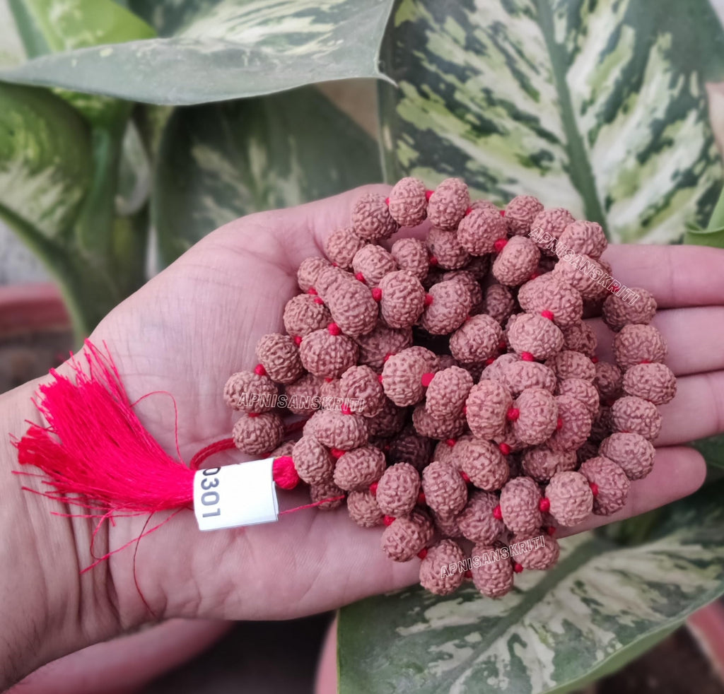 Apnisanskriti 9 Mukhi Rudraksha Mala 14-15mm - Spiritual Harmony and Healing Beads (Pack of 1)