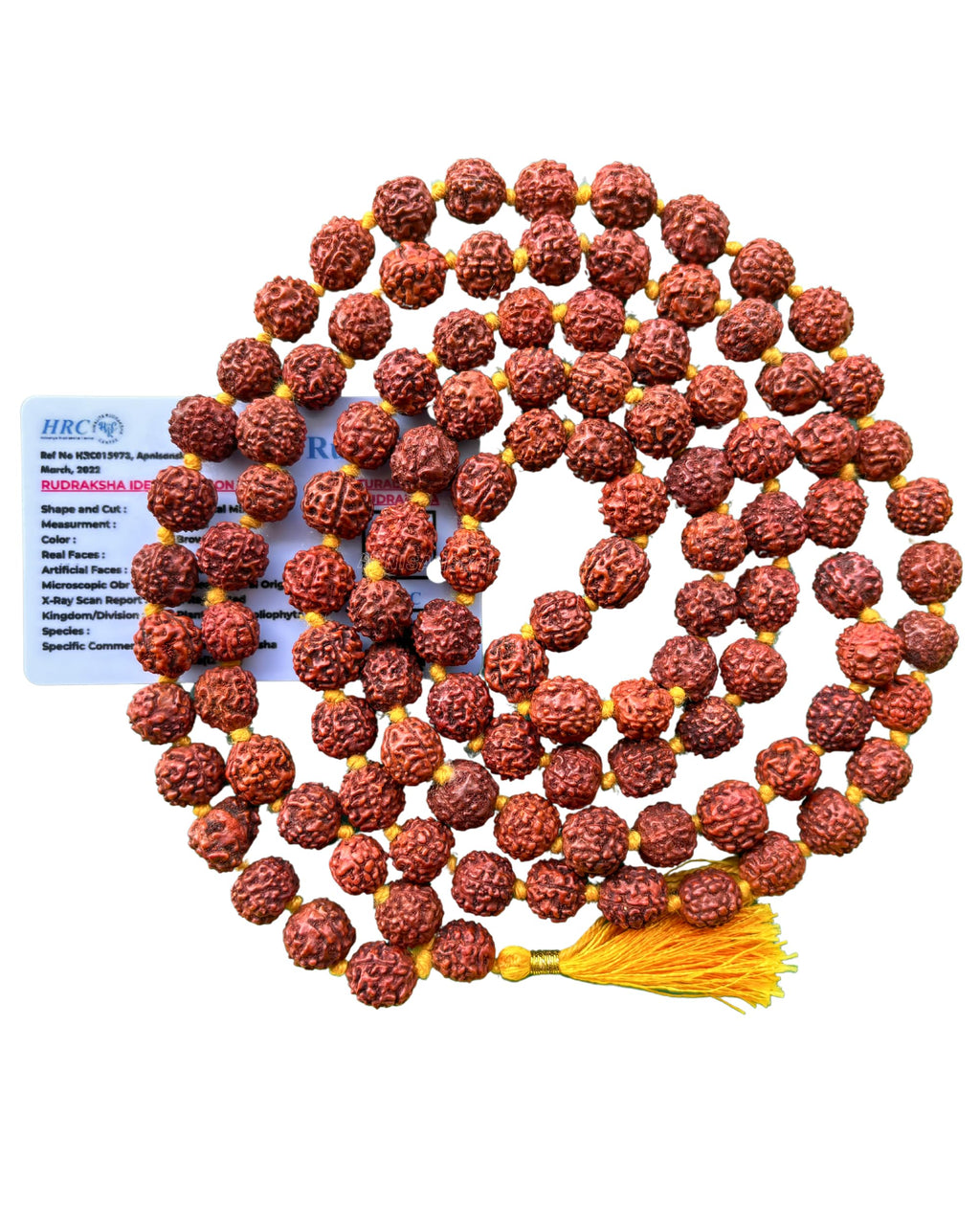 Apnisanskriti 5 Mukhi Rudraksha Mala for Men/Women Wearing (108+1, Lab Certified, Natural Brown Rudraksha Beads)