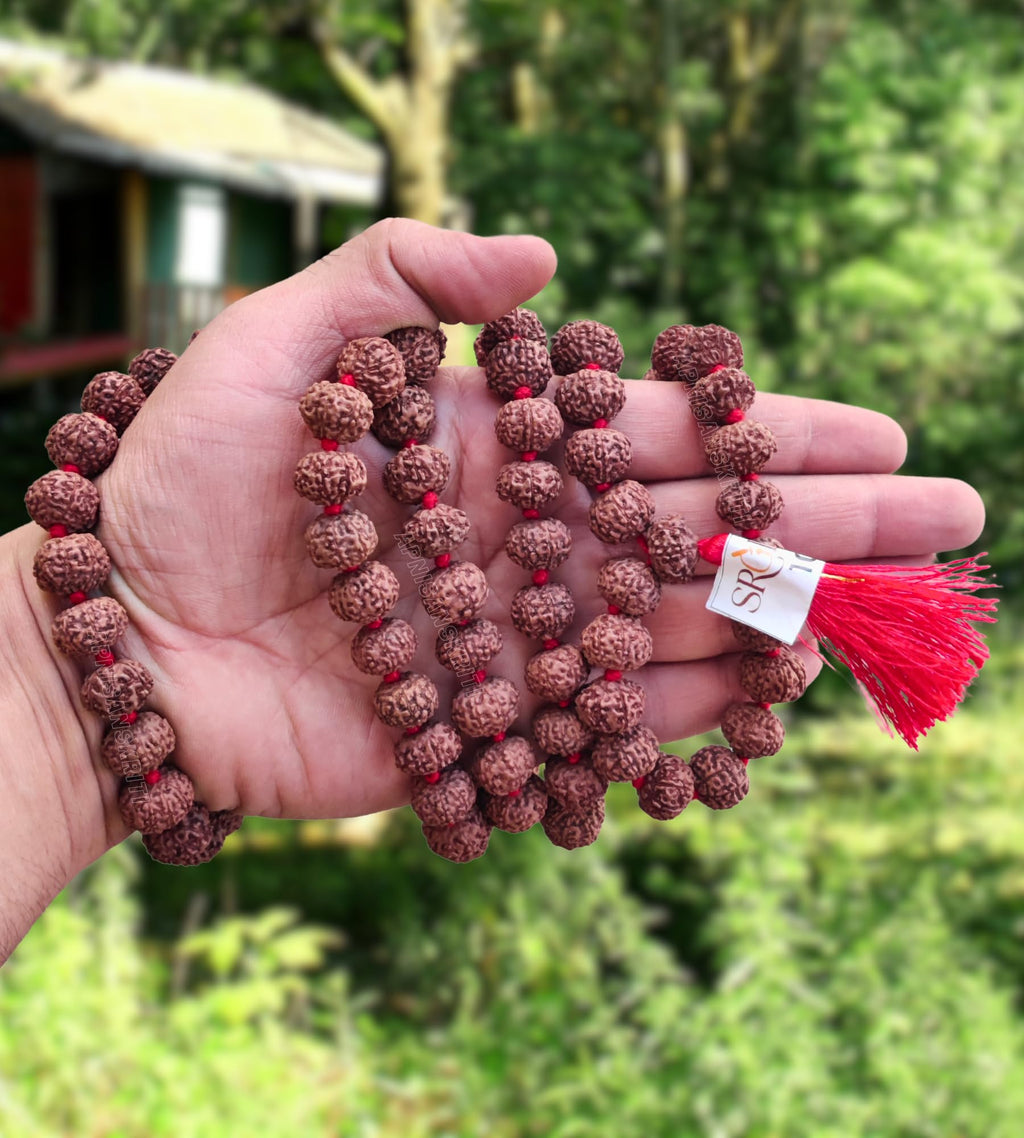 Apnisanskriti 8 Mukhi Rudraksha Mala 14-15mm - Enhance Spiritual Harmony and Healing (Pack of 1)