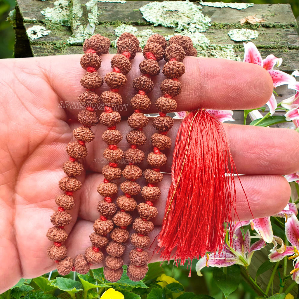 Apnisanskriti 2-10 Mukhi Rudraksha Beads Mala (108 Beads, Lab Certified) - Natural Rudraksha Beads - Pack of 1