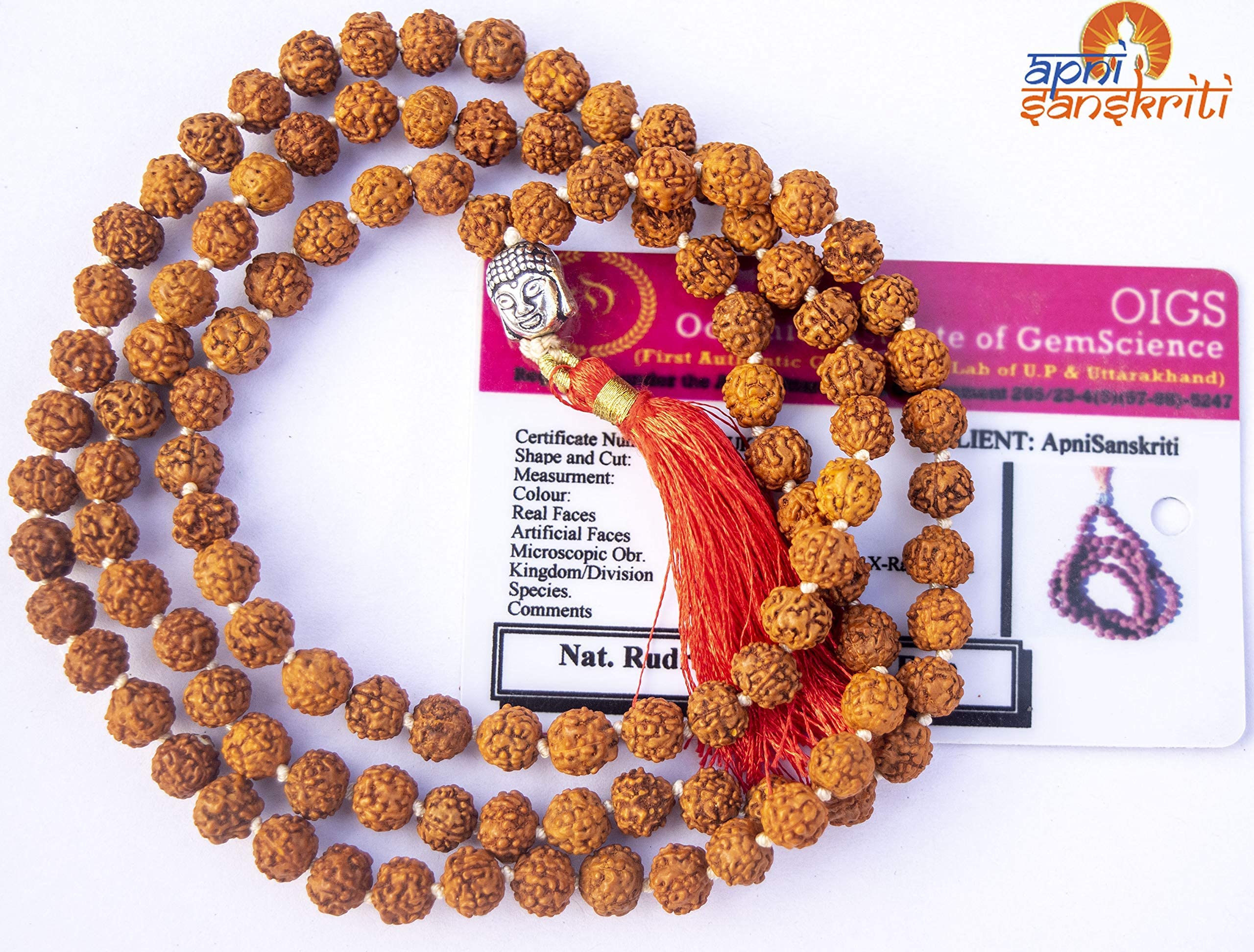 Apnisanskriti 5 Mukhi Rudraksha Mala with Buddha Face for Jaap and Men/Women Wearing (Lab Certified, 7mm, Medium Bead Size, Chest Length, 108+1 Beads) - Natural Brown Rudraksh Beads - Pack of 1