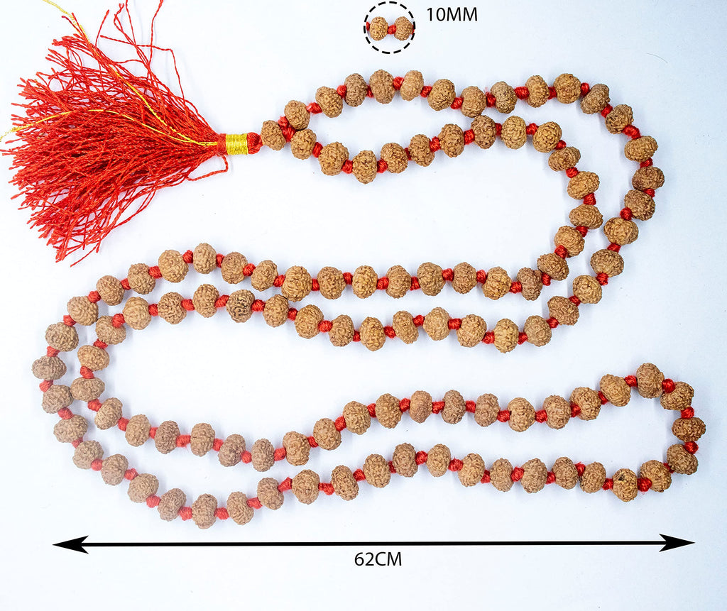 Apnisanskriti 2-10 Mukhi Rudraksha Beads Mala (108 Beads, Lab Certified) - Natural Rudraksha Beads - Pack of 1